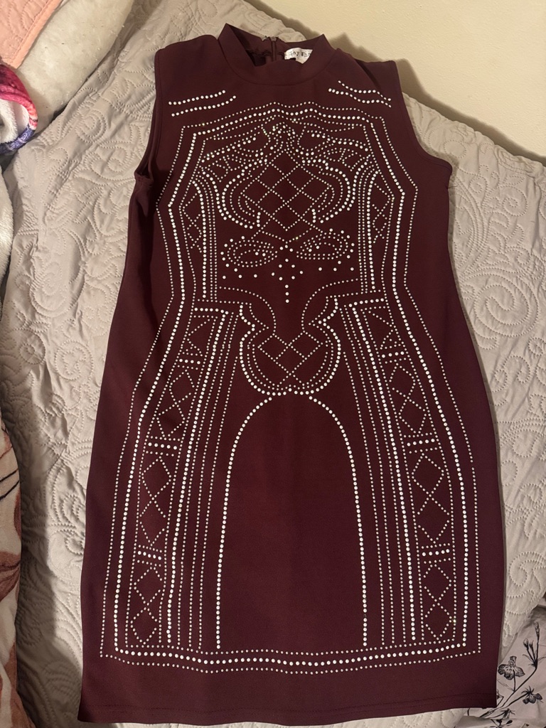 Say What? Studded Wine Mini Dress